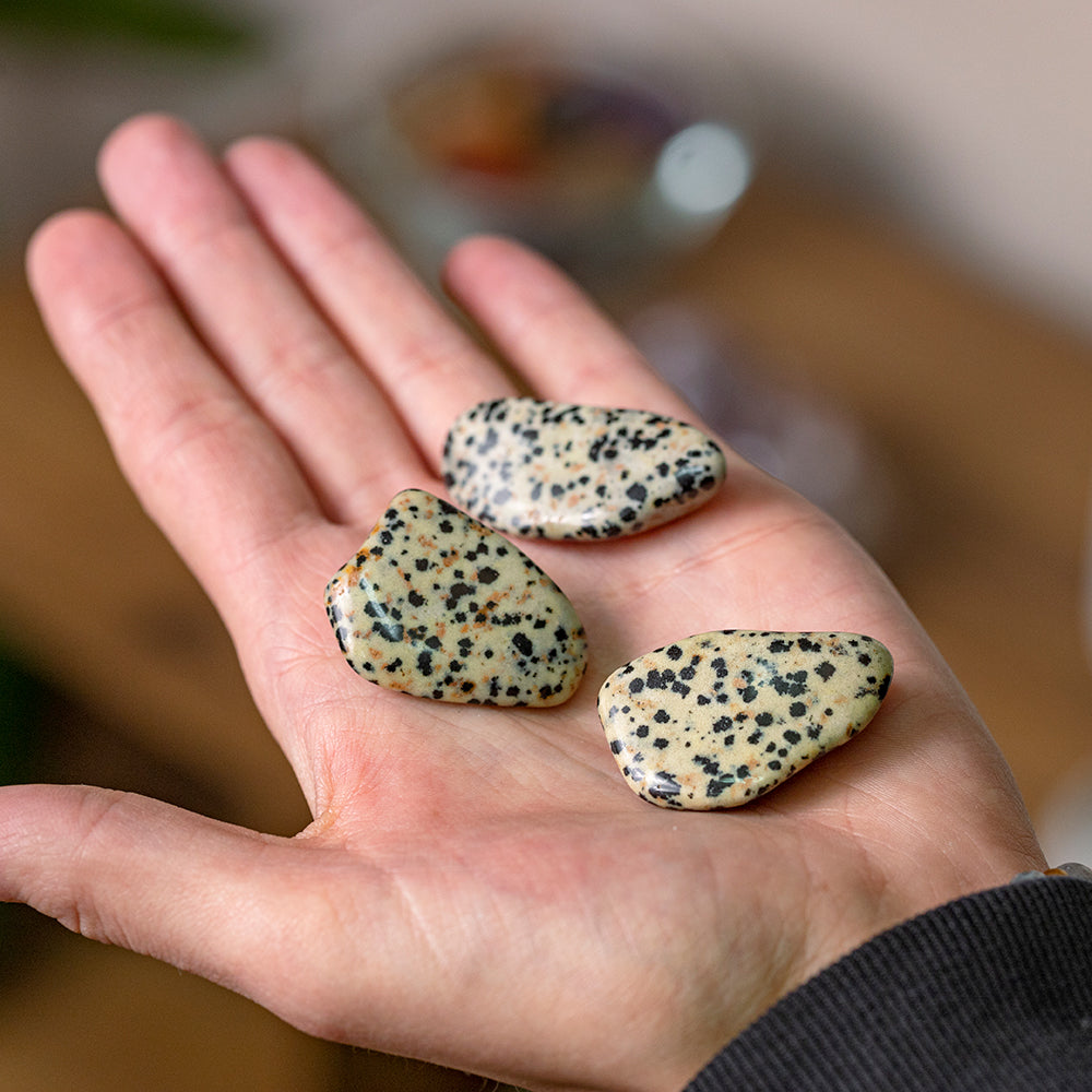 Dalmatian Jasper Tumblestones - Djuna Studios