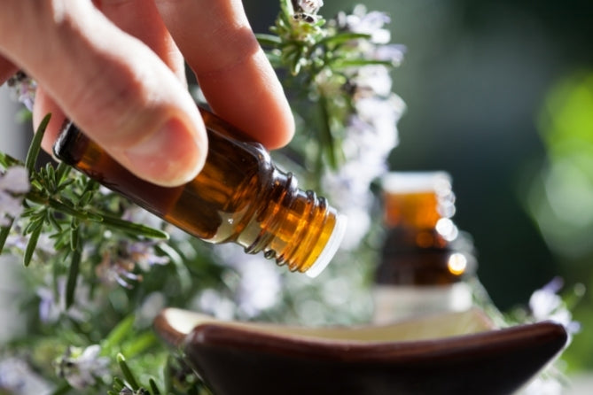 10 Popular Aromatherapy Blends
