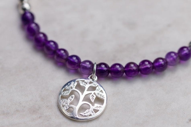 What Does The Tree of Life Represent?