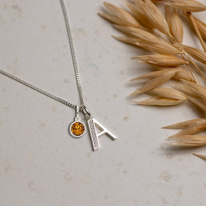 Custom Silver Birthstone Necklace with Initial Letter - Djuna Studios