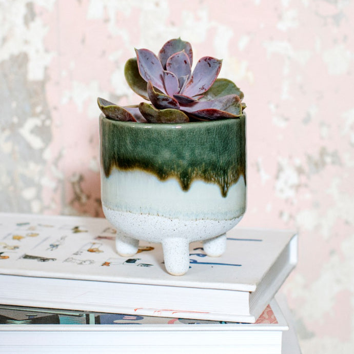 Mojave Glaze Green Planter by Sass & Belle