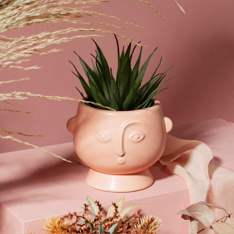 Blush Abstract Face Planter - Plant Pot by Sasse and Belle