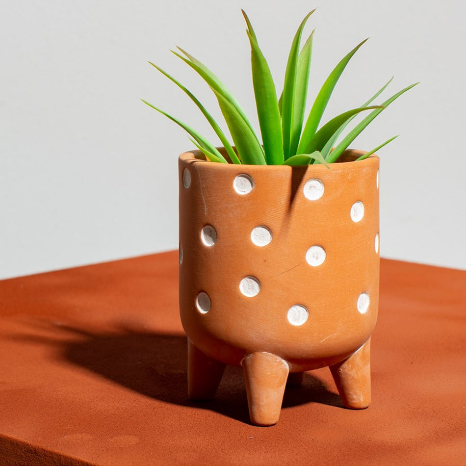 Polka Dot Planter by Sasse and Belle