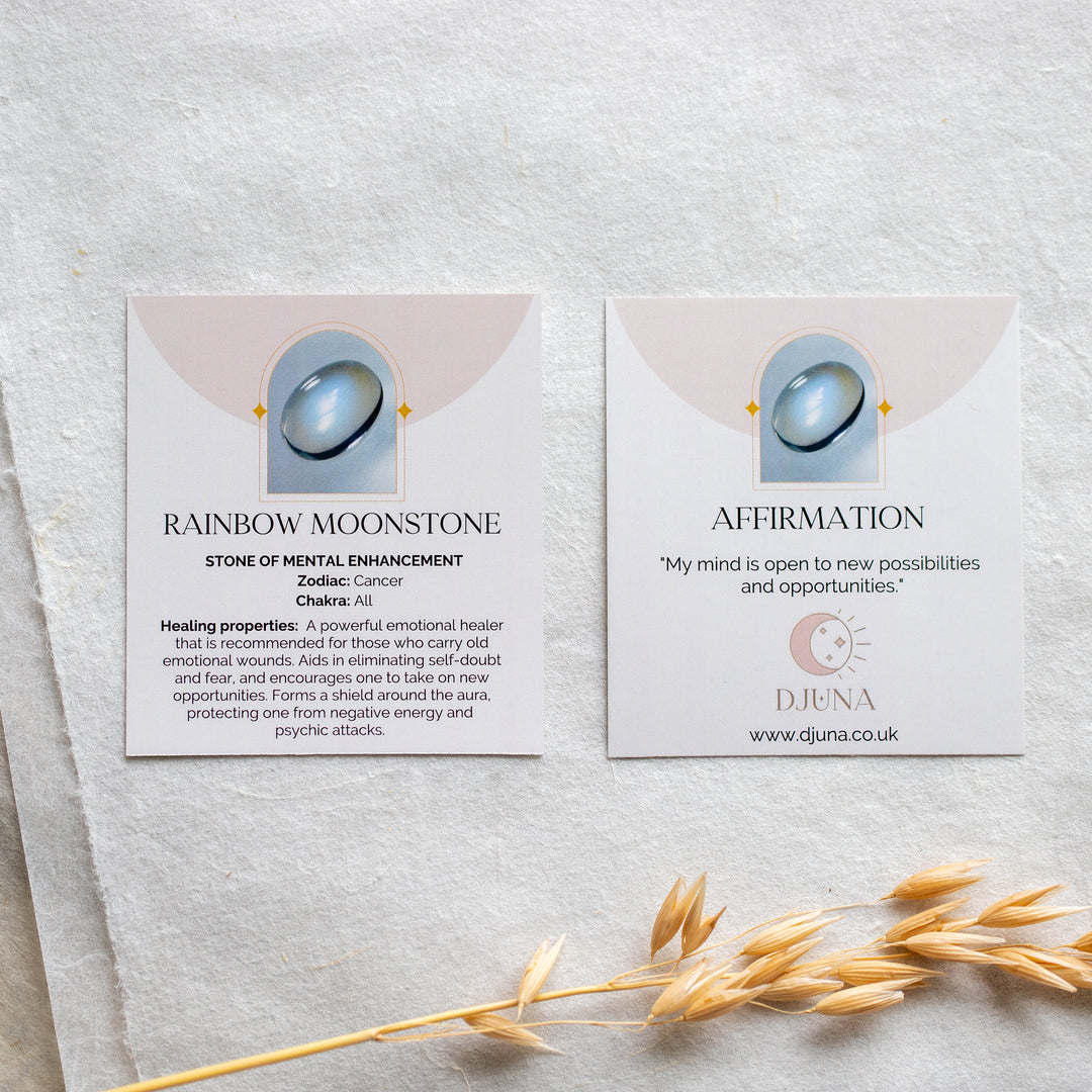 Moonstone Drop Earrings - Djuna Studios